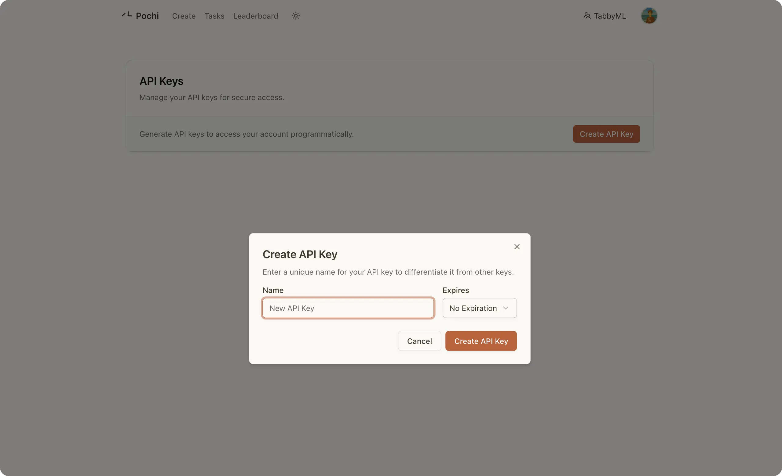 API page interface
