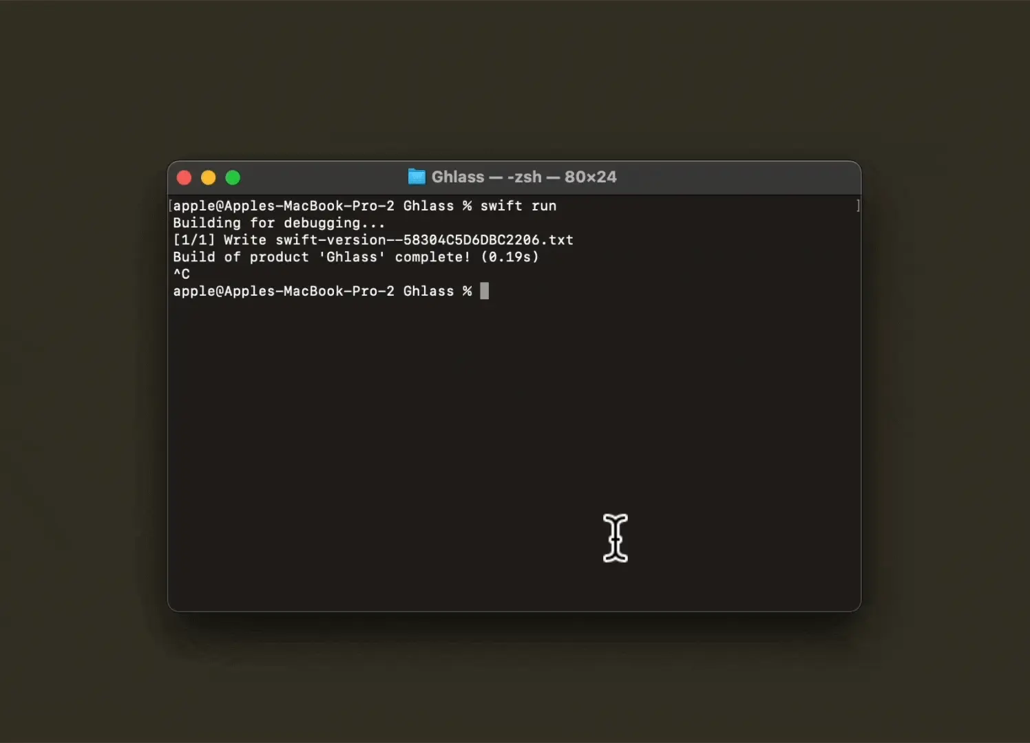 Application launch failure